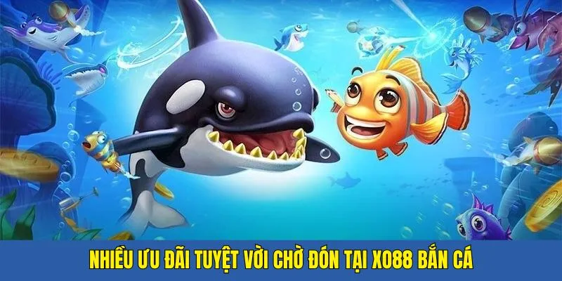 Nhiều ưu đãi tuyệt vời được tổ chức liên tục